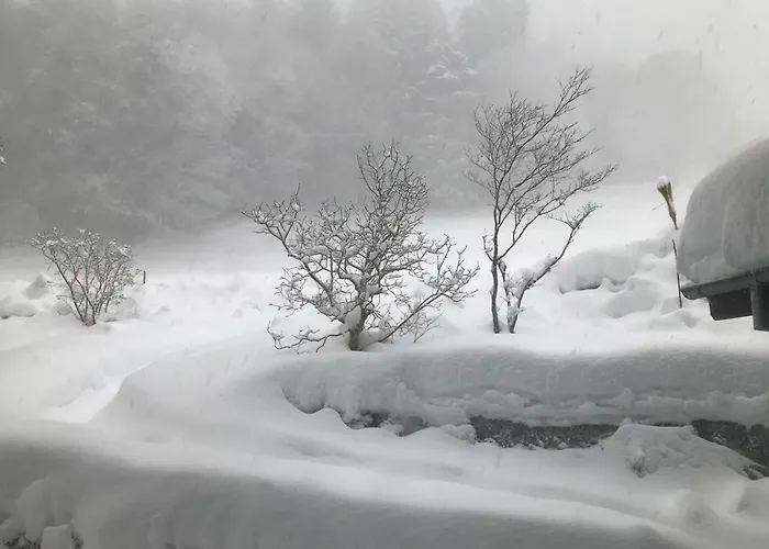 Appartamento Friesli