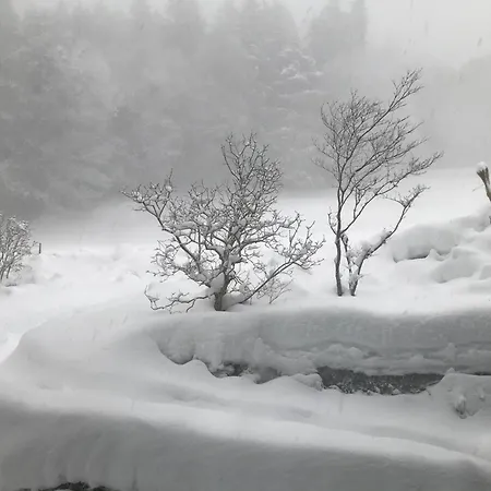 Апартаменты Friesli